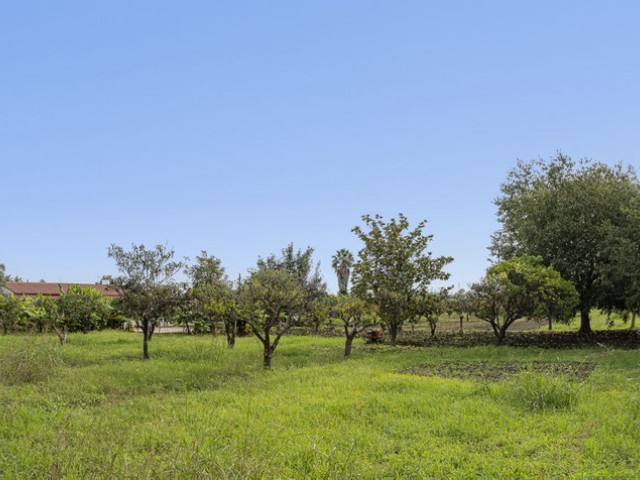  Parcelle à San Pedro de Alcántara