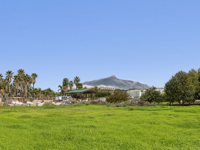  Parcelle à San Pedro de Alcántara