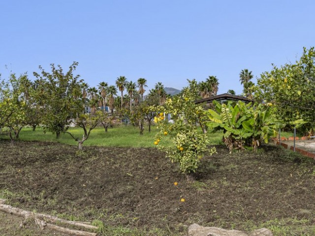  Parcelle à San Pedro de Alcántara