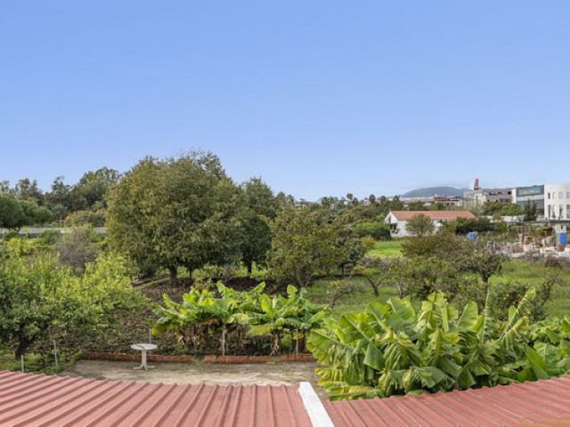  Plot in San Pedro de Alcántara