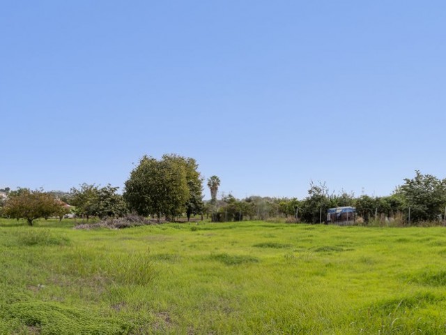 Plot in San Pedro de Alcántara