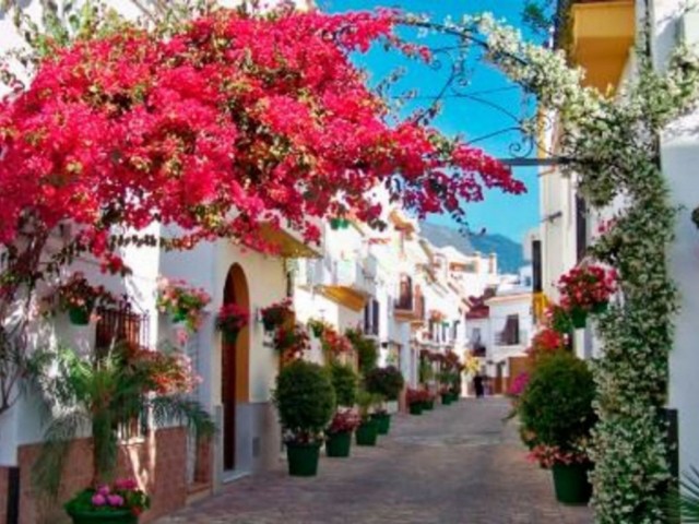 3 Sovrums Villa i Estepona