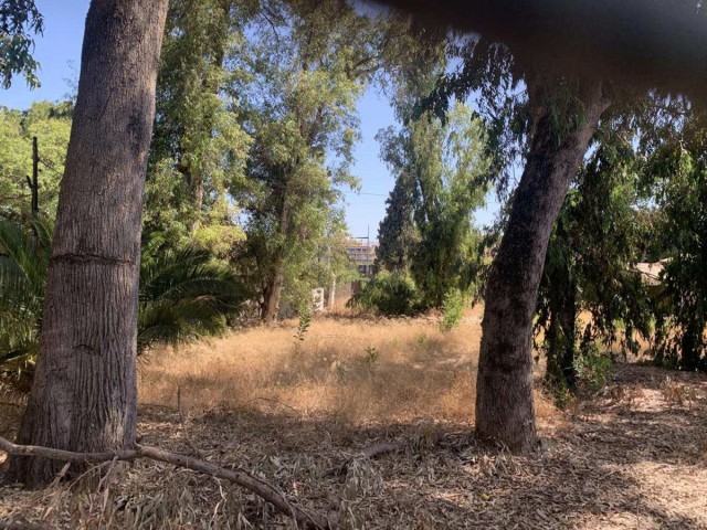  Tontti Marbella