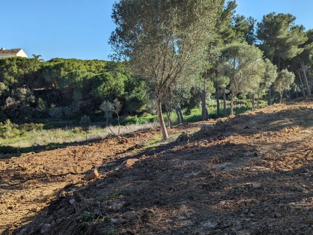  Plot in Sotogrande