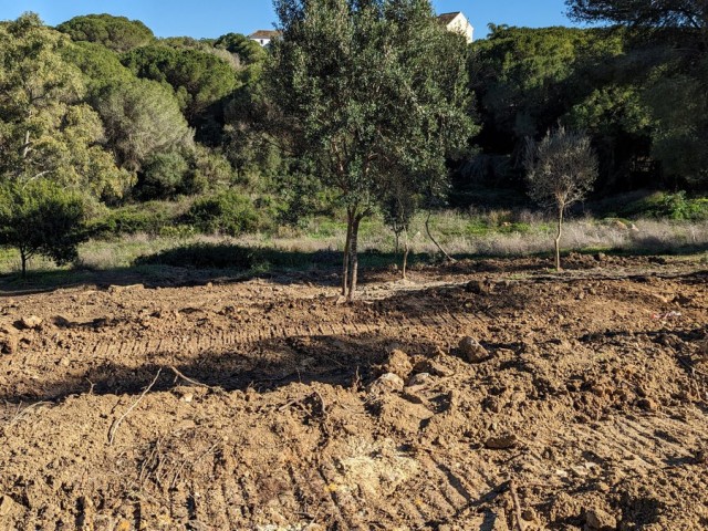  Plot in Sotogrande