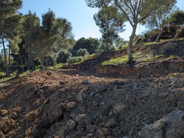  Plot in Sotogrande