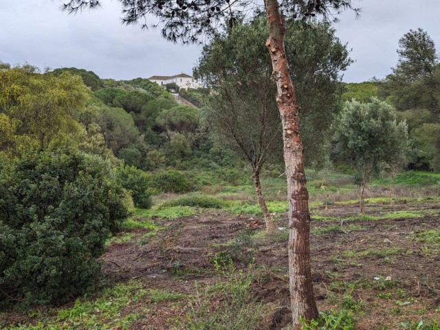  Plot in Sotogrande