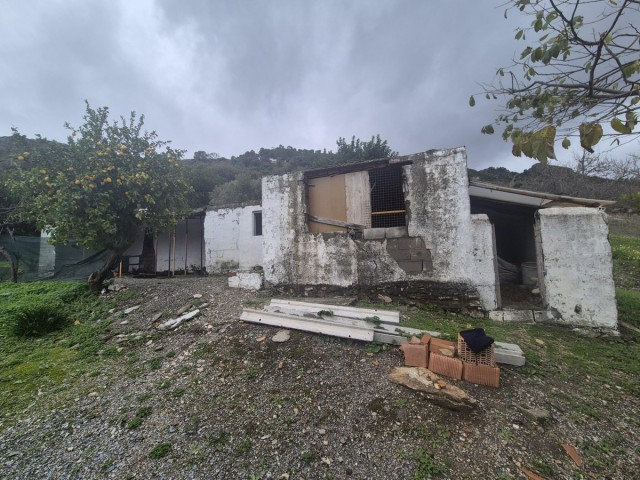 Parcelle, Casares, R5165197