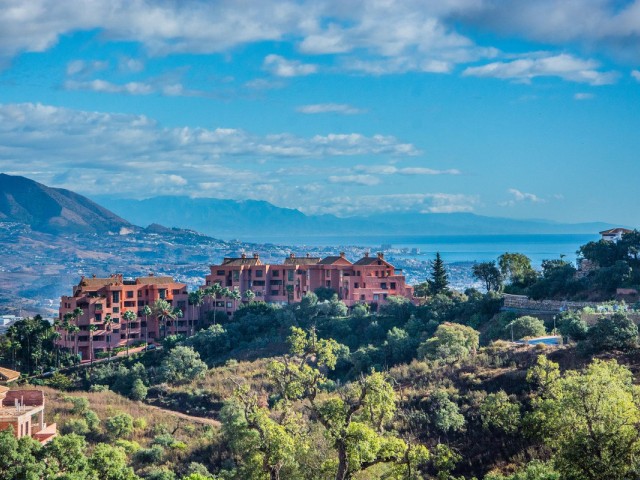  Grundstück in La Mairena