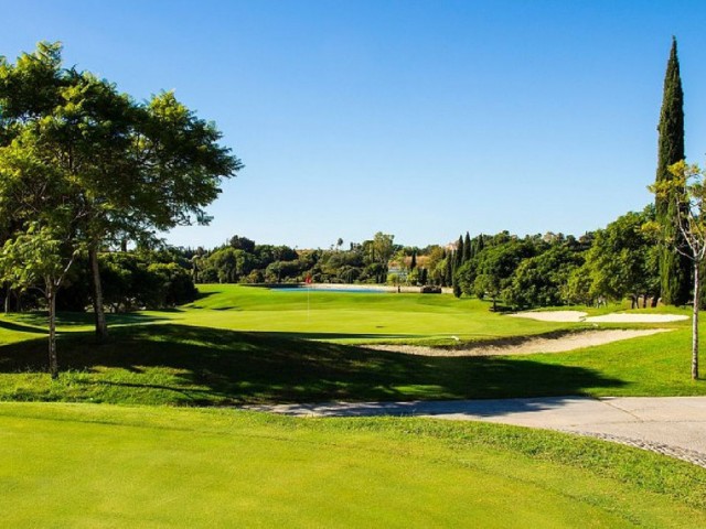 Plot Los Flamingos - R5176924