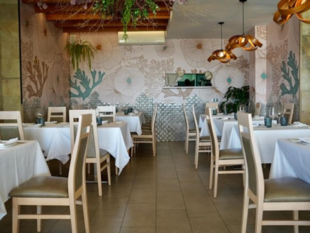 Commercial in Estepona
