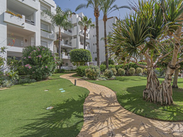 Apartamento con 3 Dormitorios  en Costalita