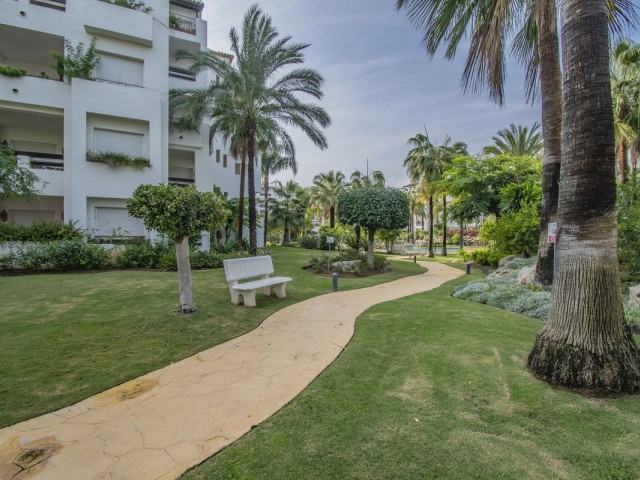 Apartamento con 3 Dormitorios  en Costalita