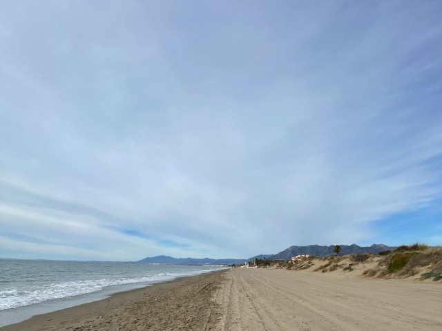 Commercial in El Rosario