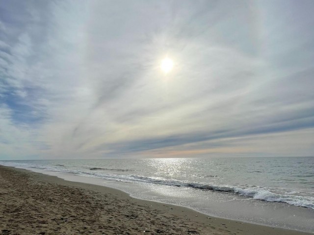 Commercial in El Rosario