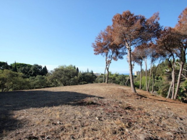 Terreno, Hacienda Las Chapas, R4069777