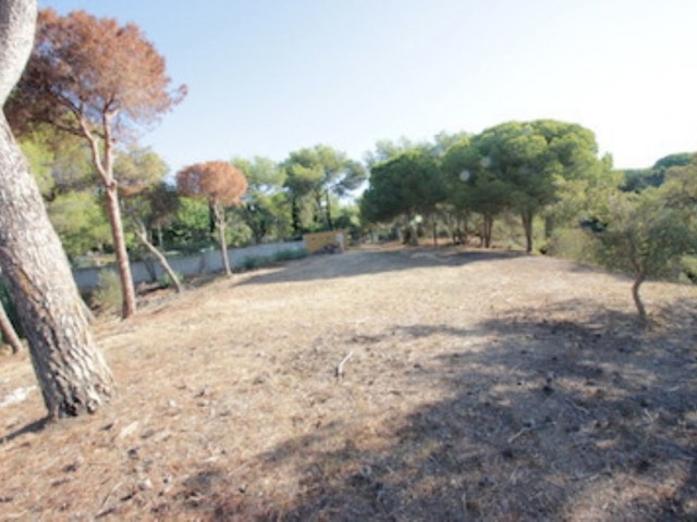  Terreno en Hacienda Las Chapas