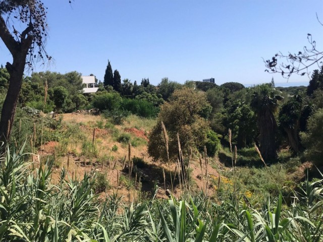  Terreno en Hacienda Las Chapas