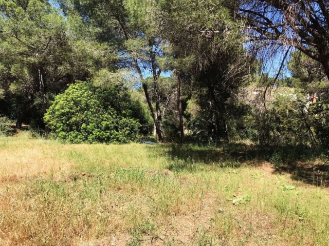  Terreno en Hacienda Las Chapas