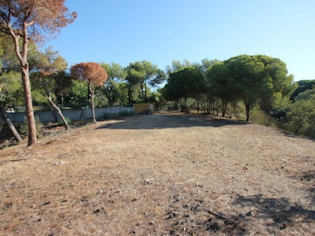  Terreno en Hacienda Las Chapas