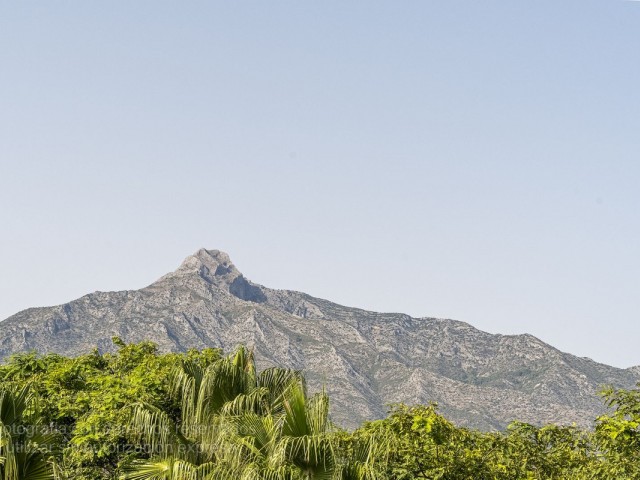 Penthouse in Puerto Banús