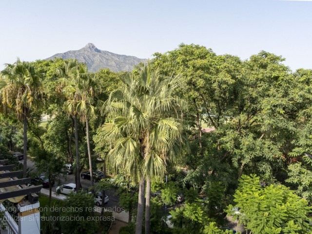 Penthouse in Puerto Banús