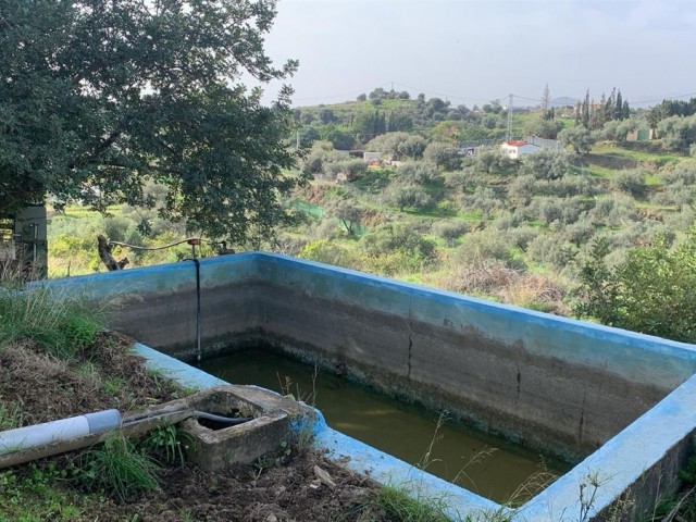 3 Makuuhuoneen Huvila Mijas