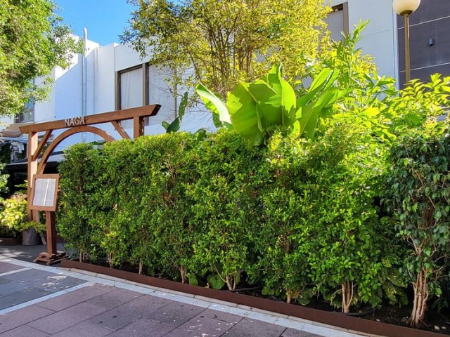 Commercial in Puerto Banús