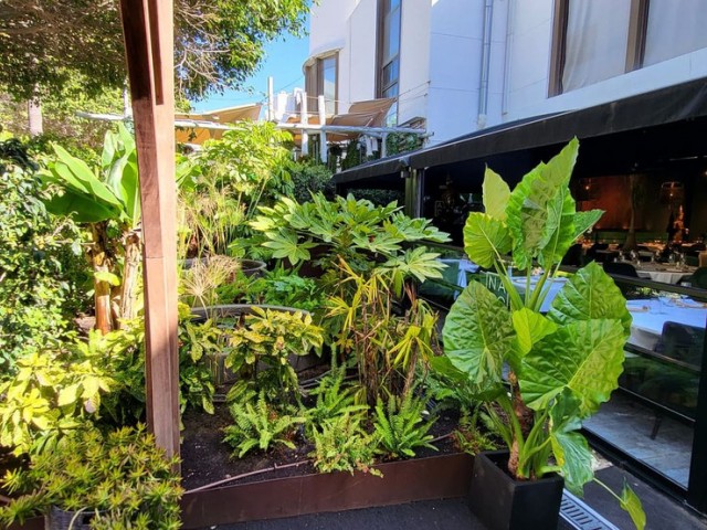 Commercial in Puerto Banús