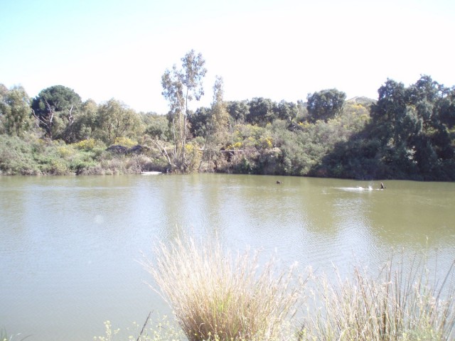  Plot in Mijas