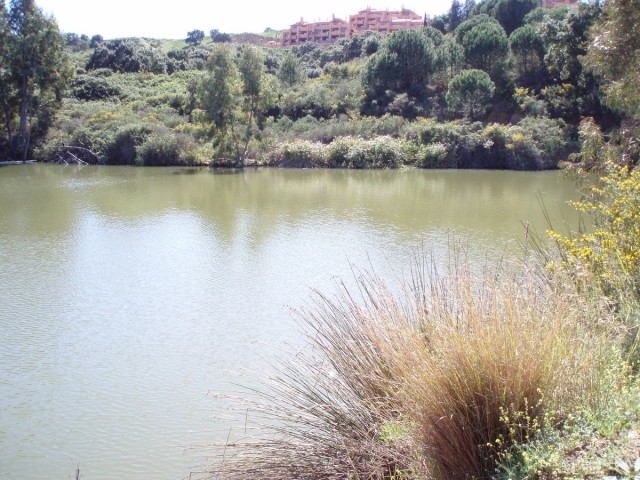  Plot in Mijas