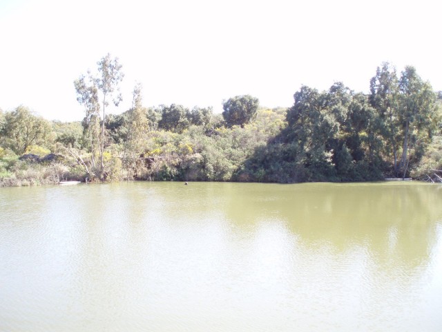  Plot in Mijas