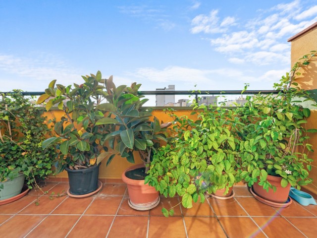 5 Sovrums Lägenhet i Málaga