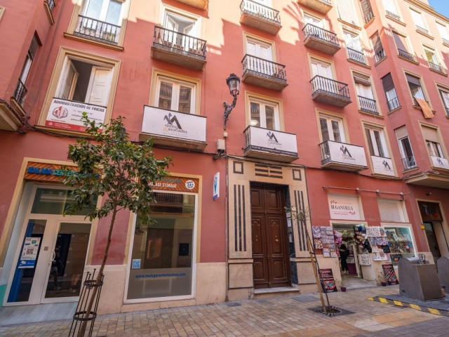 1 Soveroms Leilighet i Centro Histórico