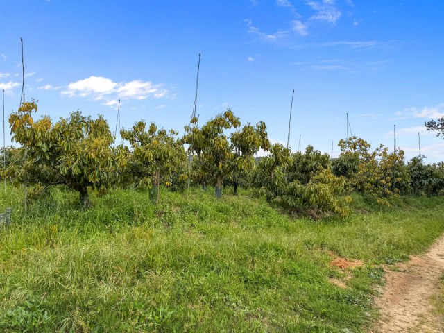 1 Bedrooms Villa in Sotogrande