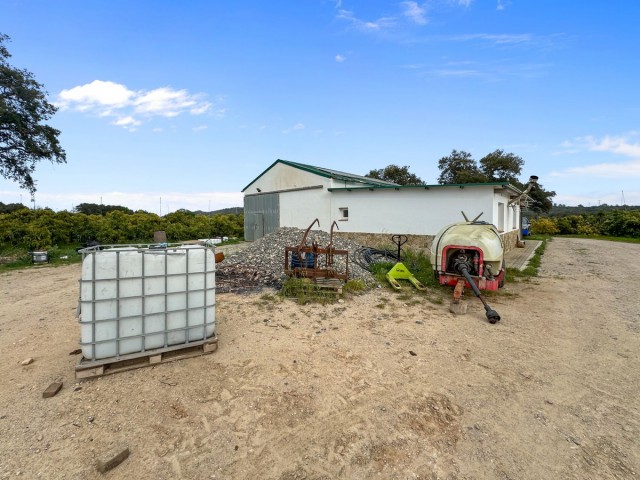 1 Bedrooms Villa in Sotogrande