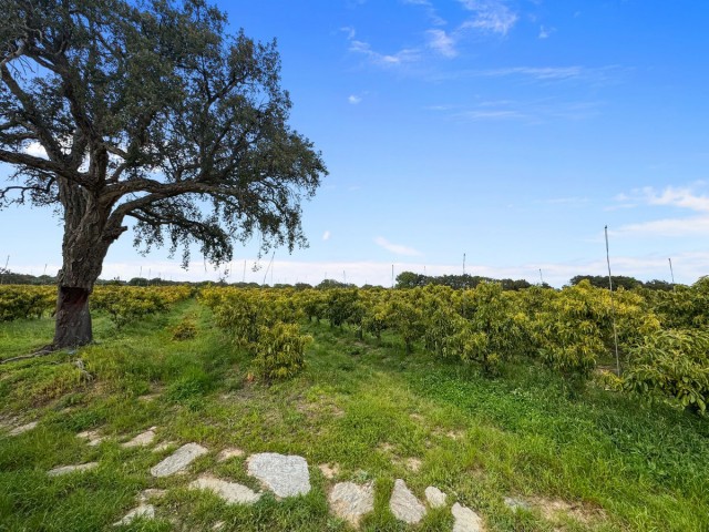 1 Bedrooms Villa in Sotogrande