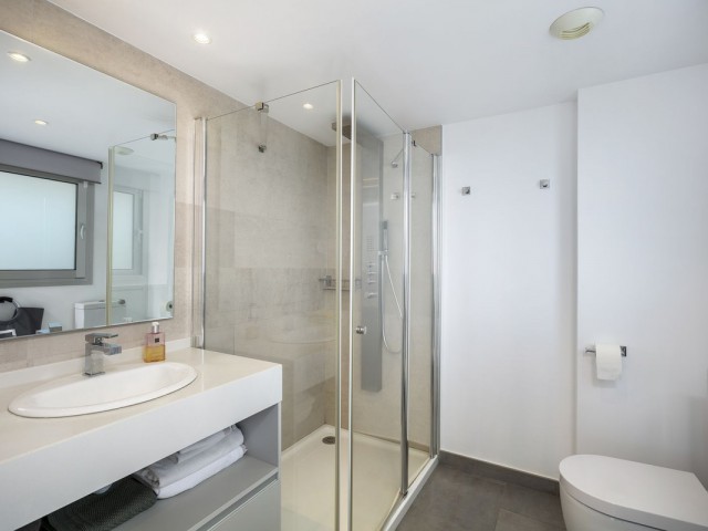 Penthouse in Atalaya