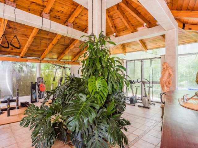 9 Slaapkamer Villa in El Rosario