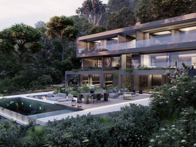  Plot in El Madroñal