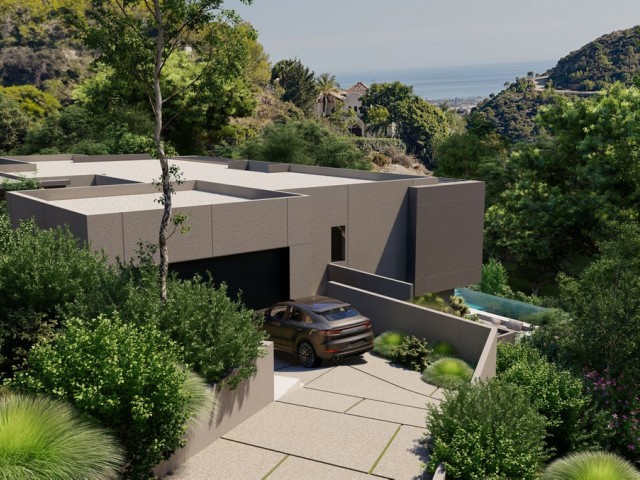  Plot in El Madroñal