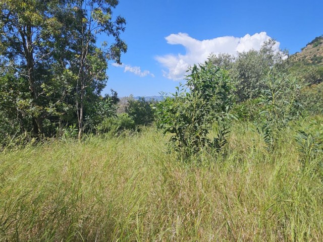 5 Schlafzimmer Villa in Mijas