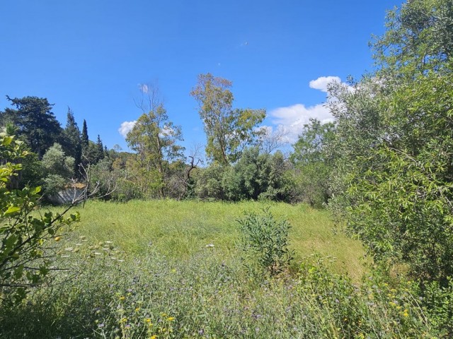 5 Schlafzimmer Villa in Mijas