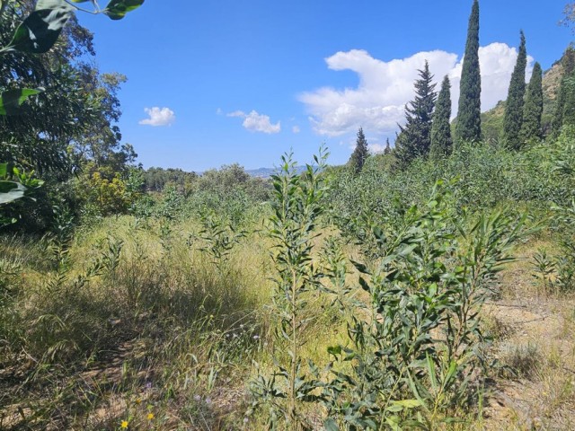 5 Schlafzimmer Villa in Mijas