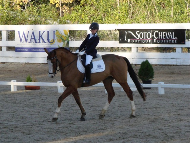  Plot in Sotogrande Alto