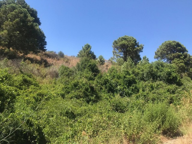  Plot in Estepona