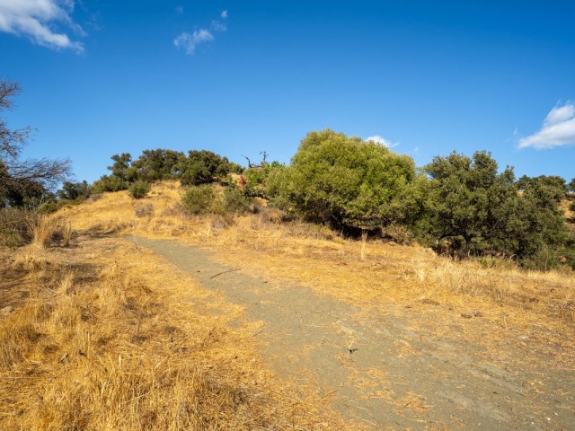  Parcelle à Cerros del Aguila