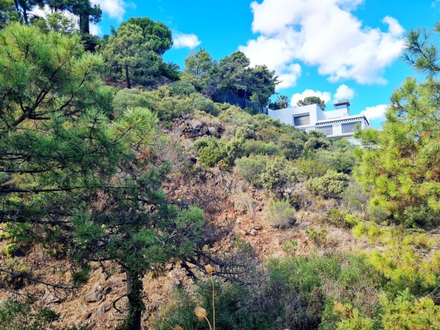  Plot in El Madroñal
