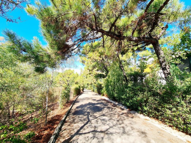  Grundstück in El Madroñal