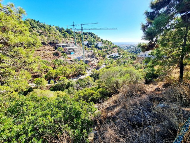 Tomt, El Madroñal, R5195473